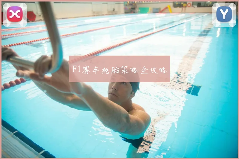 F1赛车轮胎策略全攻略