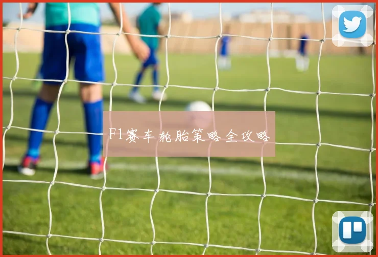 F1赛车轮胎策略全攻略